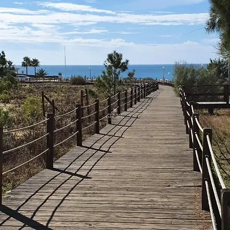 Do Pinhal - By Dalma Portuguesa *