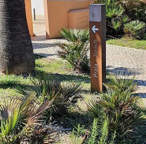 Apartament Do Pinhal - By Dalma Portuguesa *